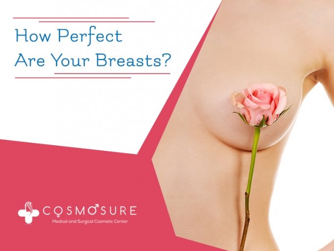 How Perfect are your breasts How Perfect are your breasts